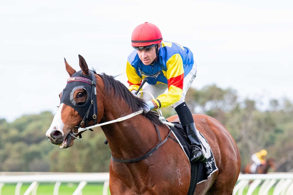Russian returns to form at Belmont