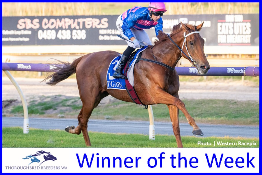 Prince Of Dala – TBWA Winner of the Week