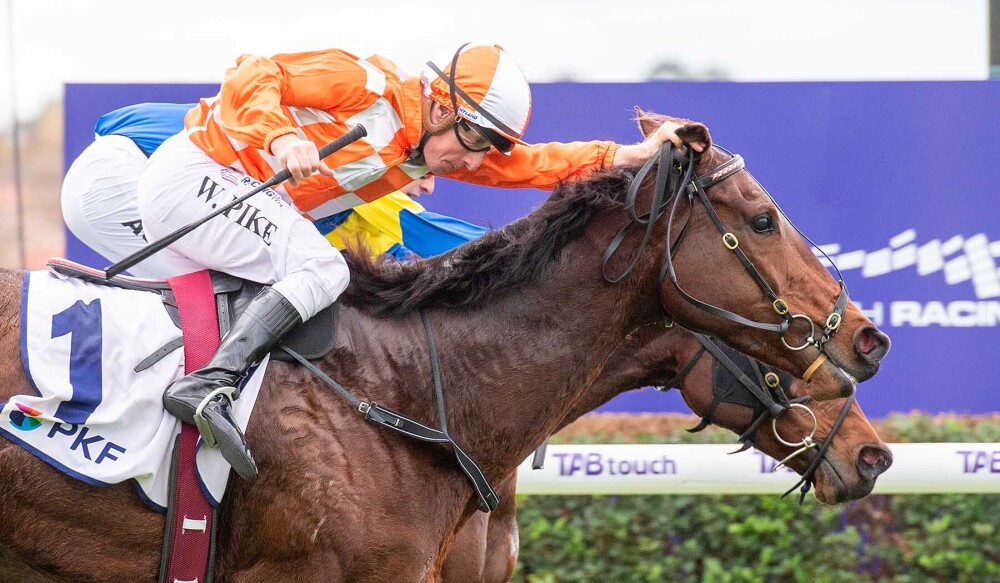 Western Empires combine in Hyperion Stakes