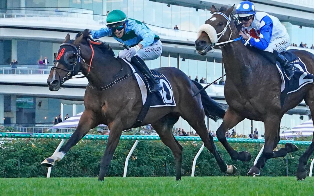 WA stayer Zakouma en route to Melbourne Cup