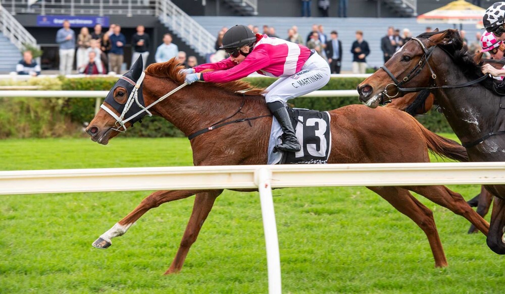 Encouraging Effort for Belmont Oaks