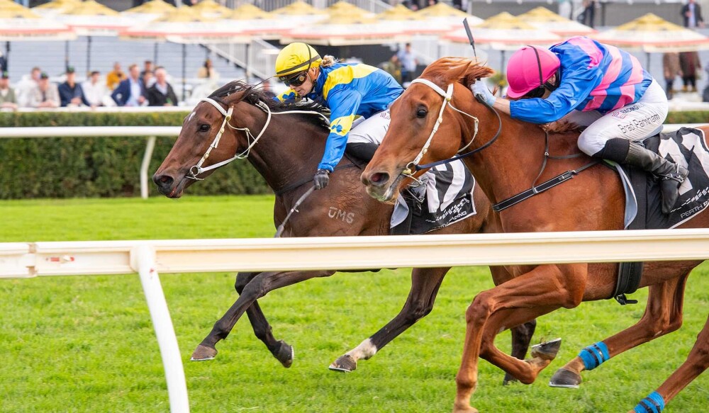 Cape Falls filly Highlights Belmont Guineas