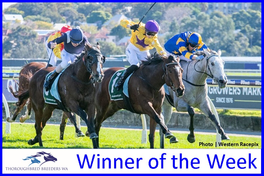 Fugaku -TBWA Winner of the Week