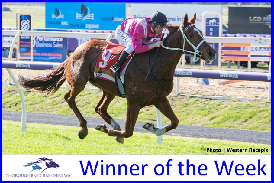 Western Miss – TBWA Winner of the Week