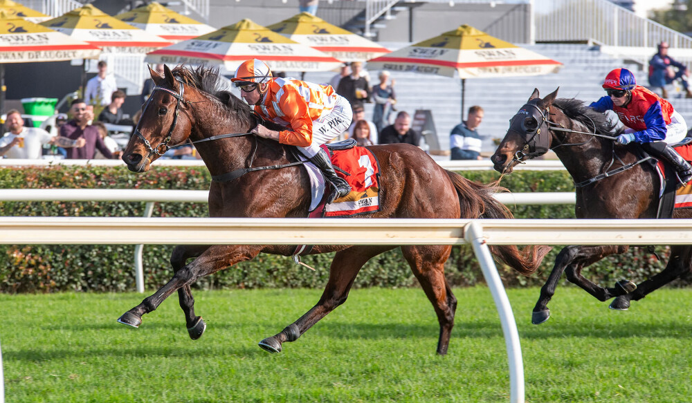 Veteran strikes again in Strickland Stakes