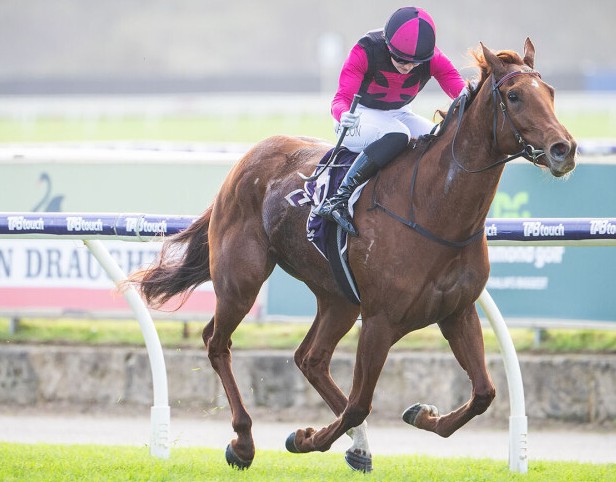 Diamonds’n’rubies wins Westspeed Platinum Final