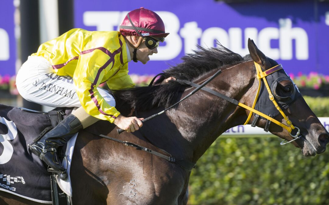 Magic Millions Perth Winter Sales online