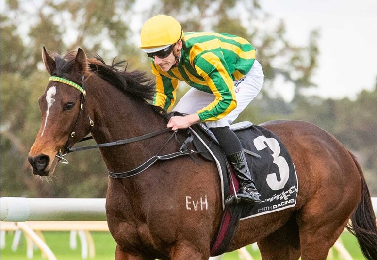 Consistent mare Simply too good at Belmont