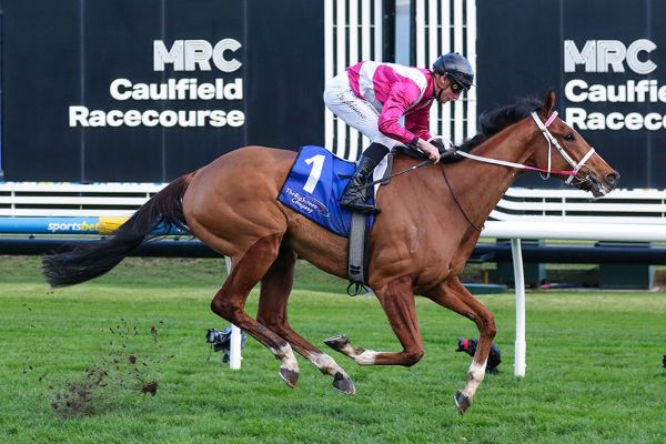 Perth Crusader wins Bletchingly Stakes