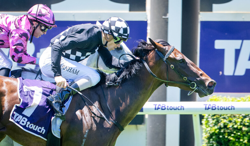Earthstorm tops Magic Millions July Digital Sale