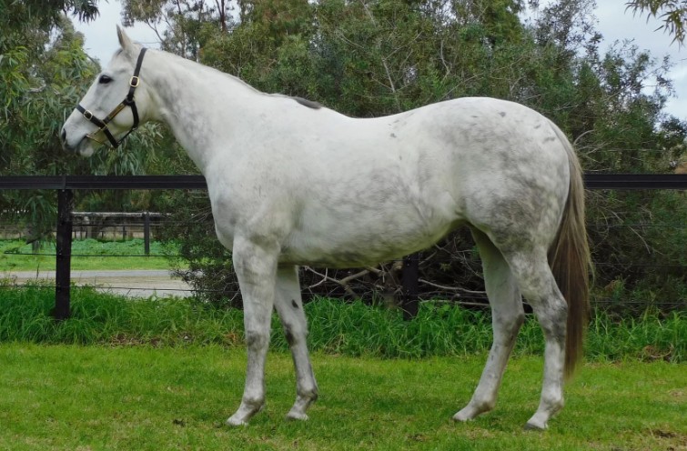 Mogumber Park makes hay with Mindarie