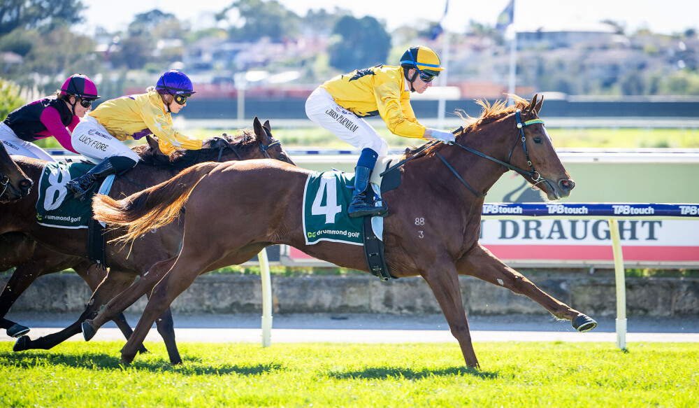 Spring beckons high-calibre winner The Rifleman