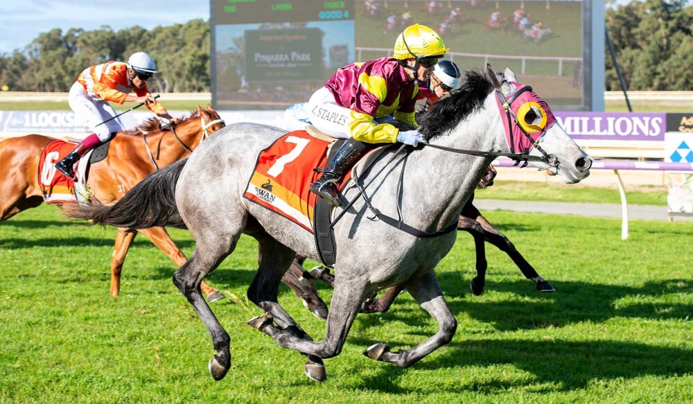 Pinjarra pay-days for Playing God and Yarradale