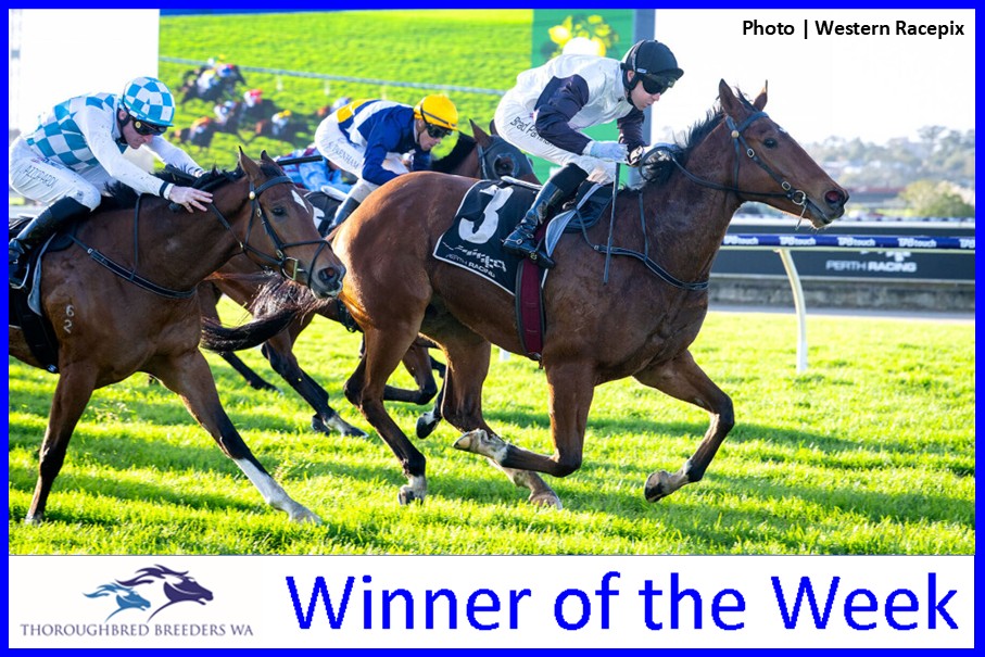Mind Field – TBWA Winner of the Week
