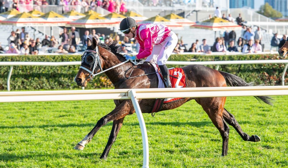 Peters Investments Bound for 2027 Perth Cup