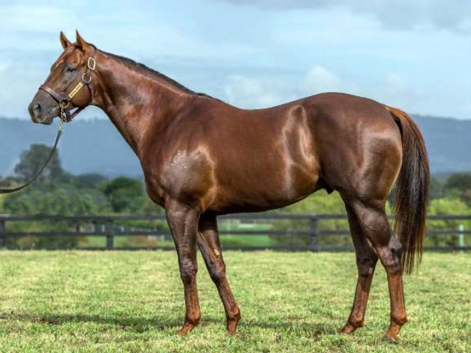 Westbury Park farewells Winning Rupert