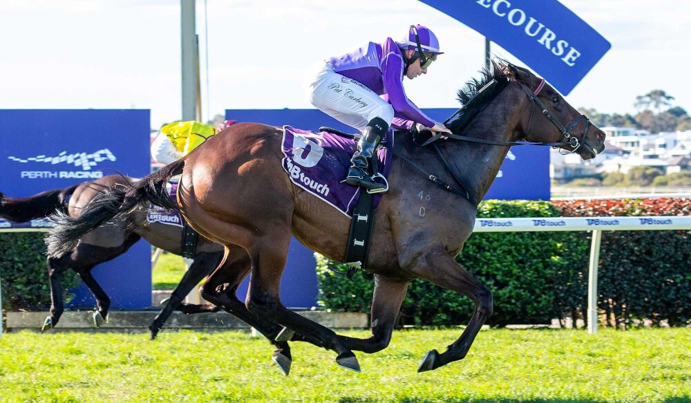 Pateman brothers bond with Bosun