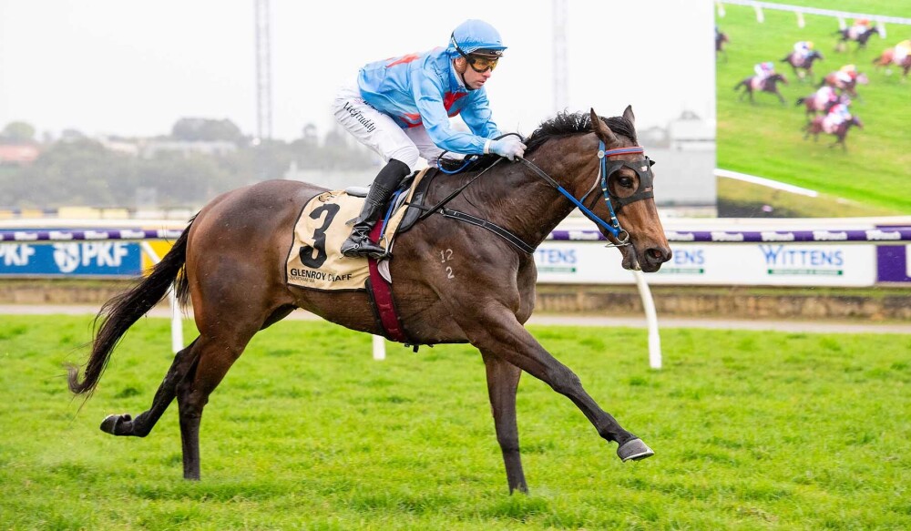 Soft win for Scenic Lodge Gem