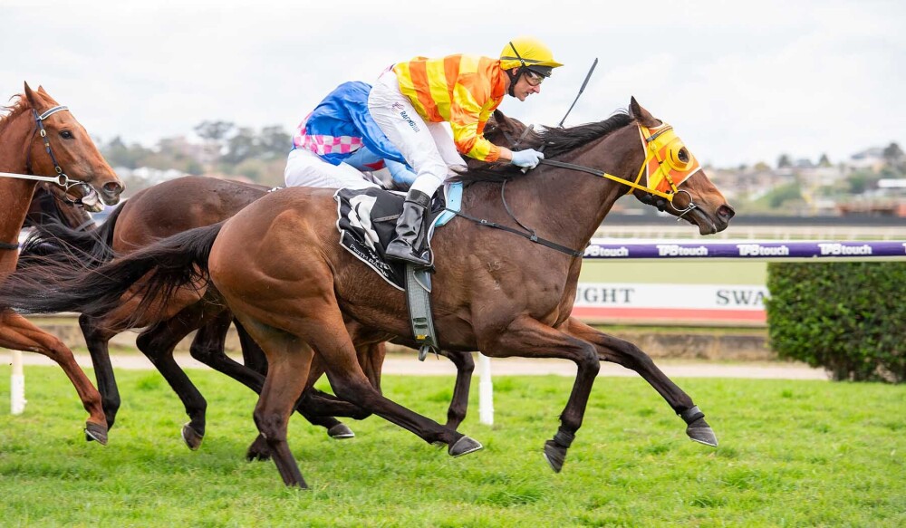 Three-wide Lane a winner for Hot Chix Syndicate