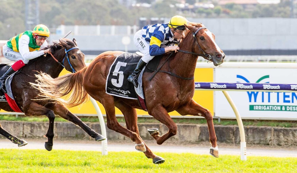 Winning breeds Confidence at Amelia Park