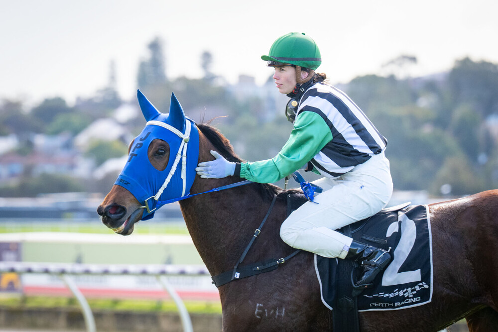 Outboard Motor propels Niccimota on Heavy 8