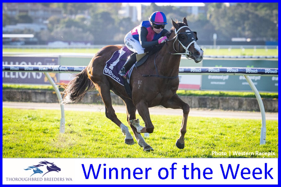 The Rocket – TBWA Winner of the Week