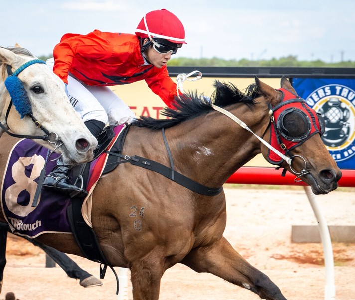Alotta winners by Westbury Park Sire