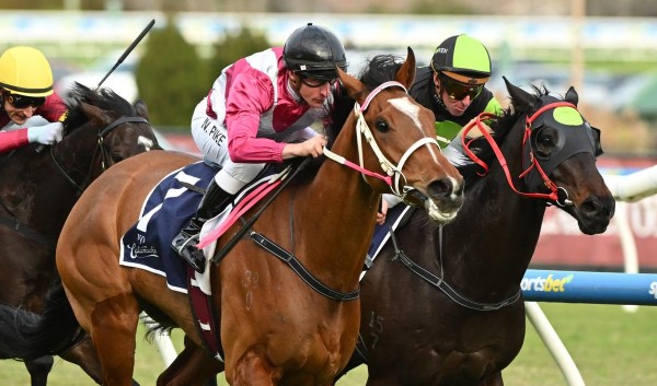Perth Crusader set for lucrative spring in Melbourne