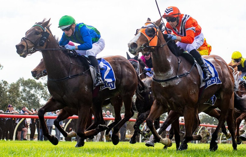 Yarradale graduate Storms home at Pinjarra