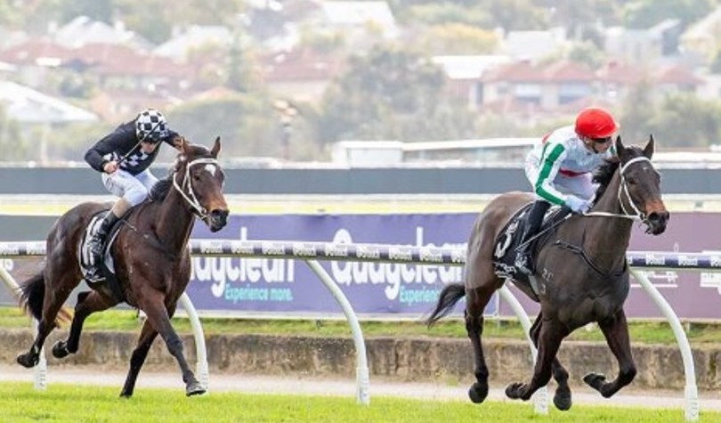 Godspeed to G2 WA Guineas for Mungrup