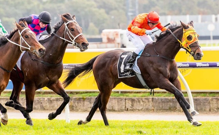 Sunny start for Darling View