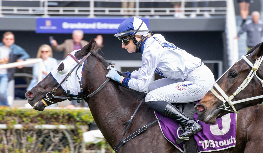 Fantaxtic result breeds confidence at Belmont