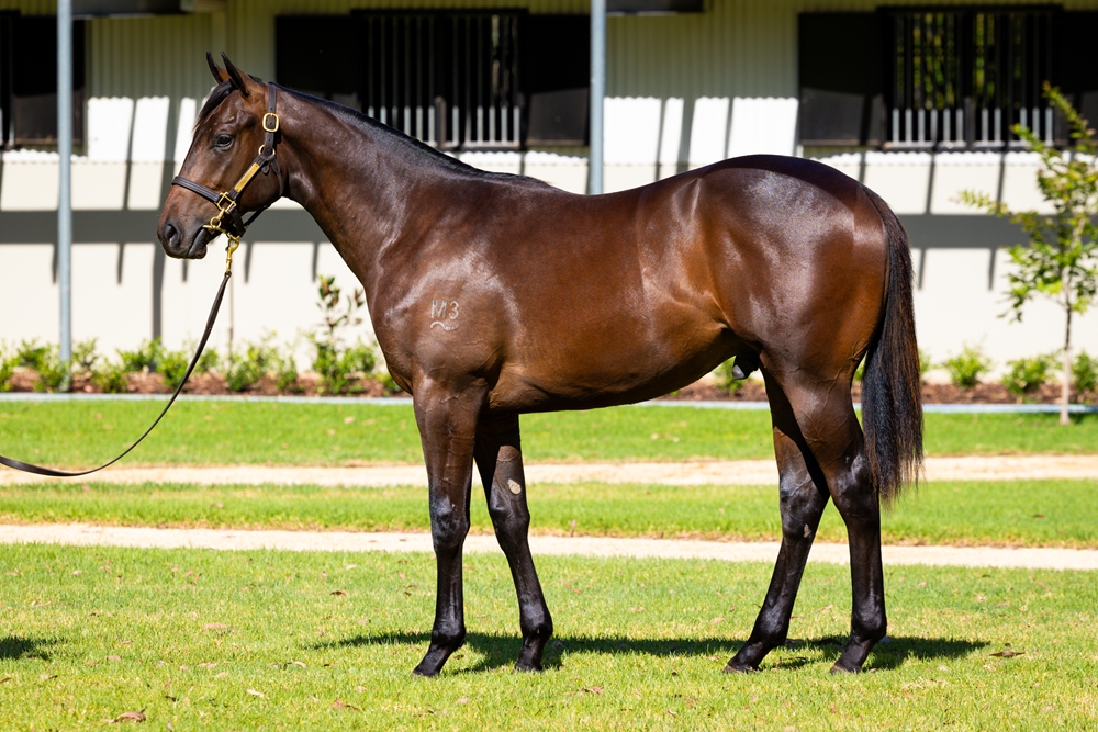 Fiji flags potential at Randwick