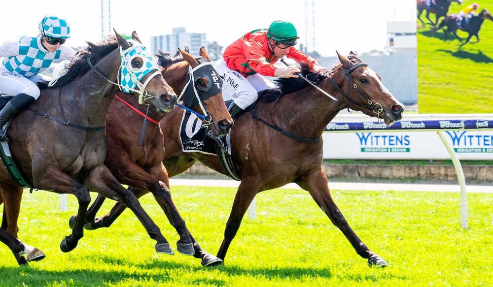 Juniper wins against the odds at Belmont