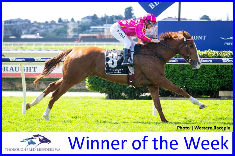 Roger – TBWA Winner of the Week