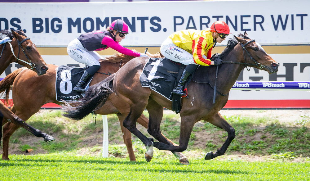 Albirex launches 2yo season at Ascot