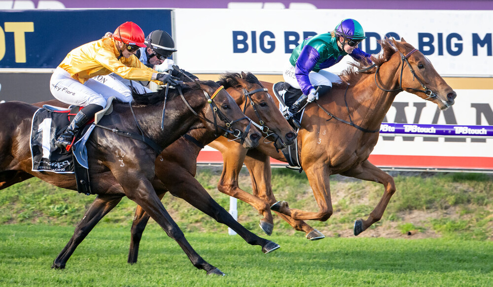 Black-type double for Rangeview Stud