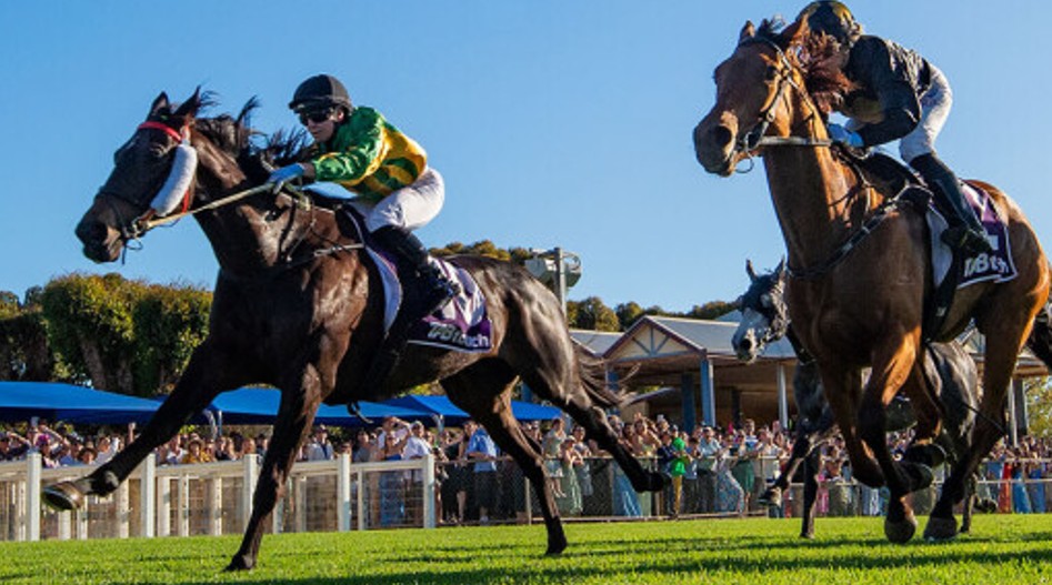 Champeze centre stage in Ladies Day Sprint
