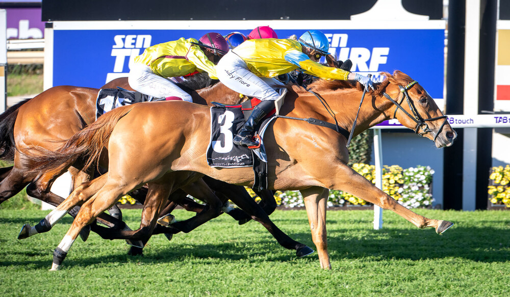 Railway record in sight for King Of Light