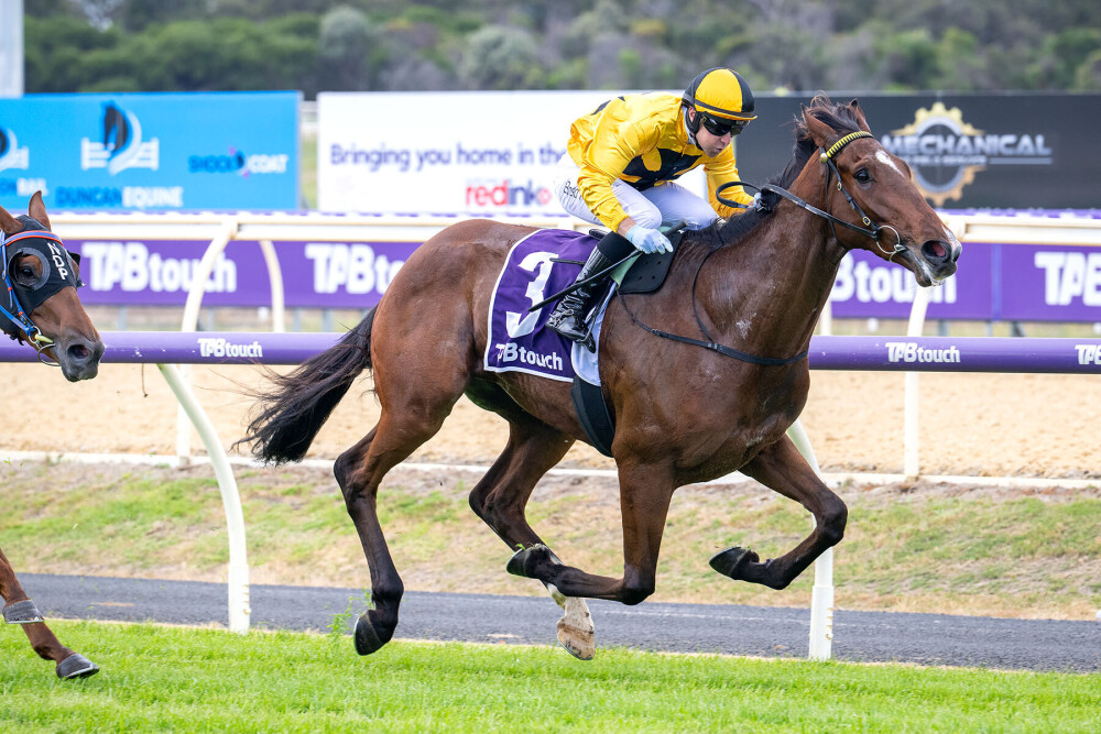 Moose in motion for WATC Derby