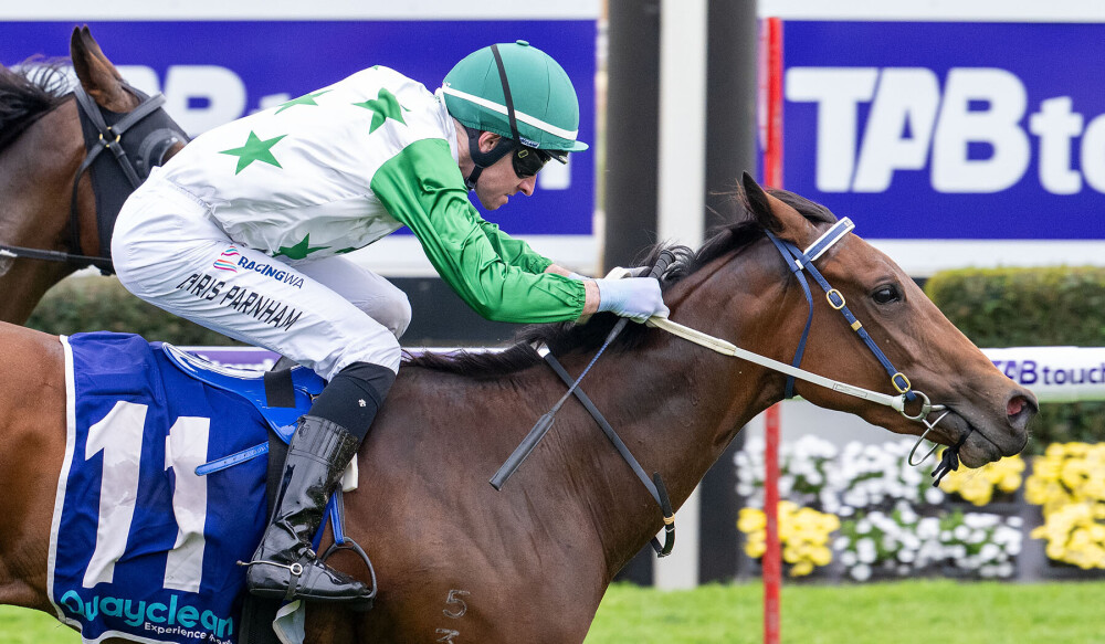 Princess going places for Amelia Park