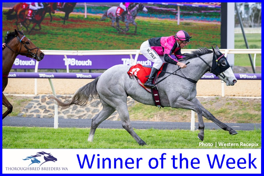Angel Express – TBWA Winner of the Week