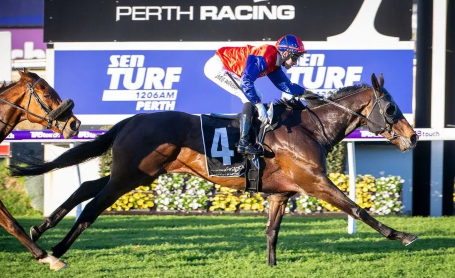 Ascot three-peat for Gold Front