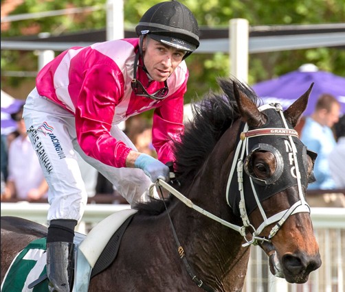 Streamlined on course for better company
