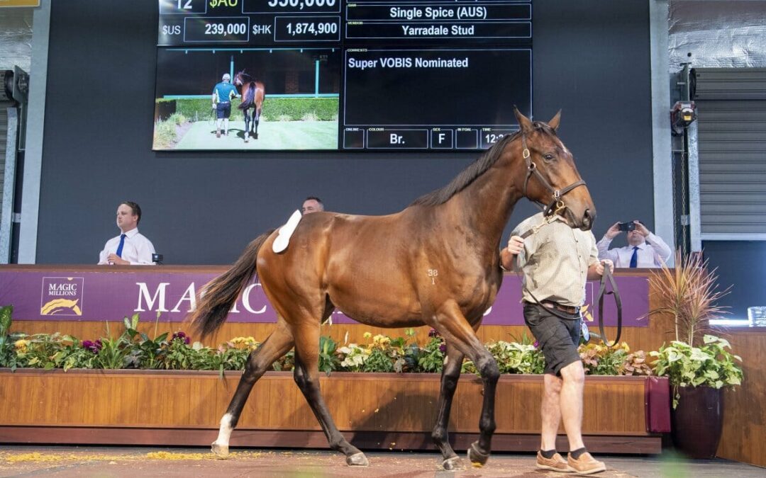 Best-ever catalogue for Perth Magic Millions
