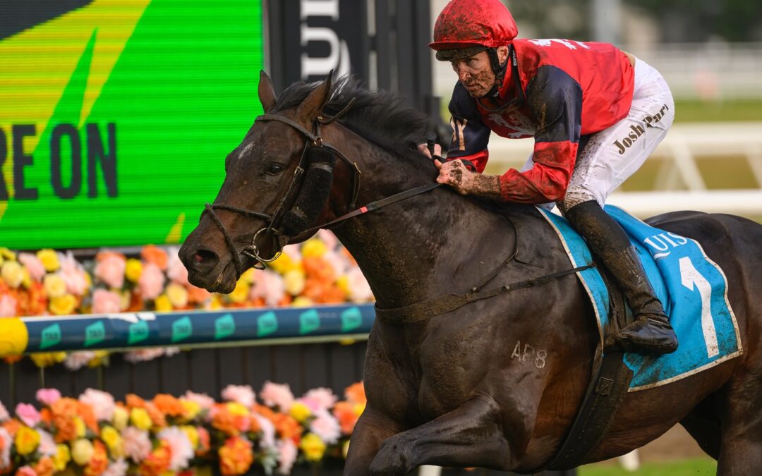 Bosustow another banker for Amelia Park
