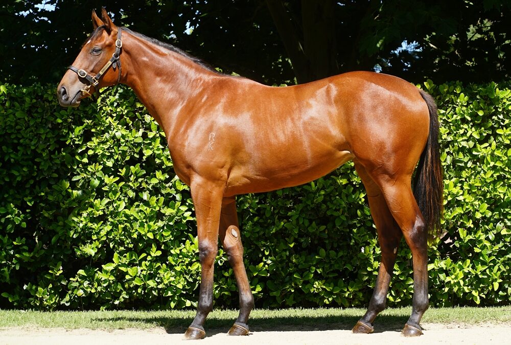 Fernie raises capital for Gold Coast Capitalist