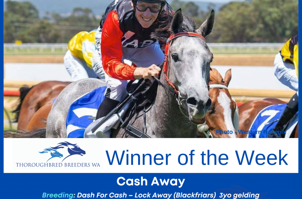 Cash Away  –  TBWA Winner of the Week