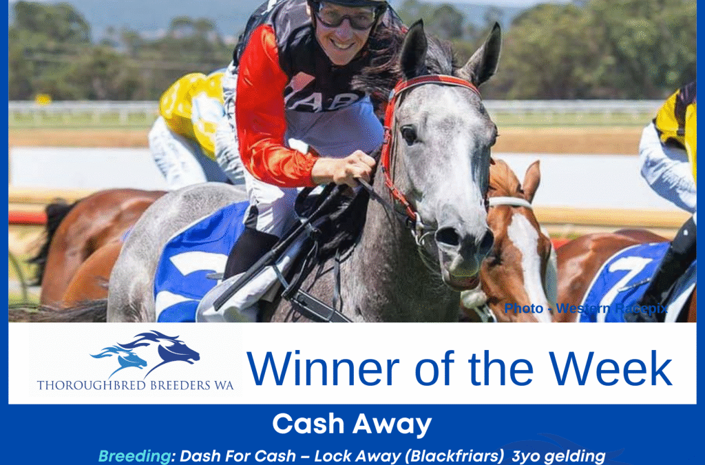 Cash Away – TBWA Winner of the Week