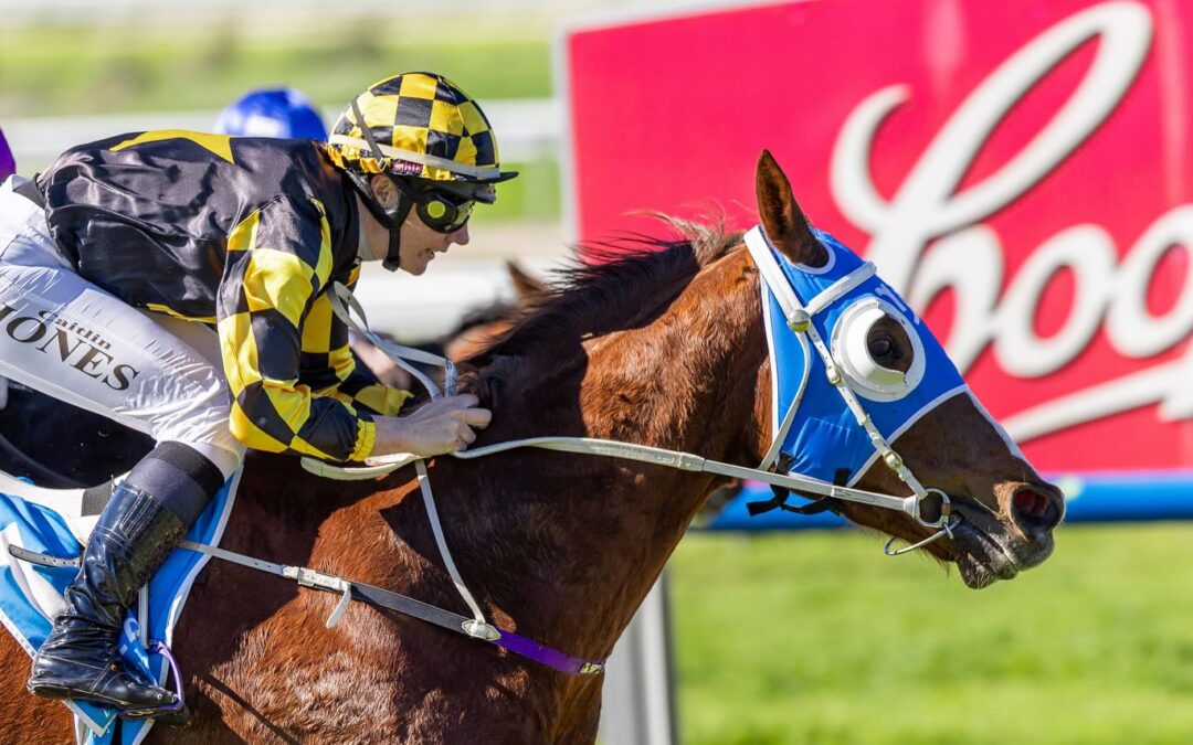 Yarradale fires Silver and Copper Bullets